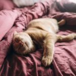 productief in de winter